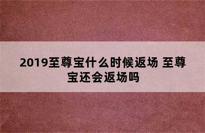 2019至尊宝什么时候返场 至尊宝还会返场吗